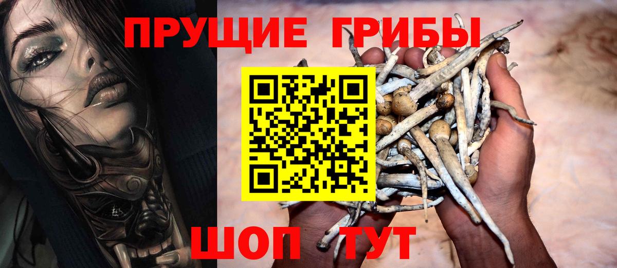 Псилоцибиновые грибы Magic Shrooms  Псилоцибиновые грибы Cubensis  сколько стоит  Вход с VPN  Шарыпово 